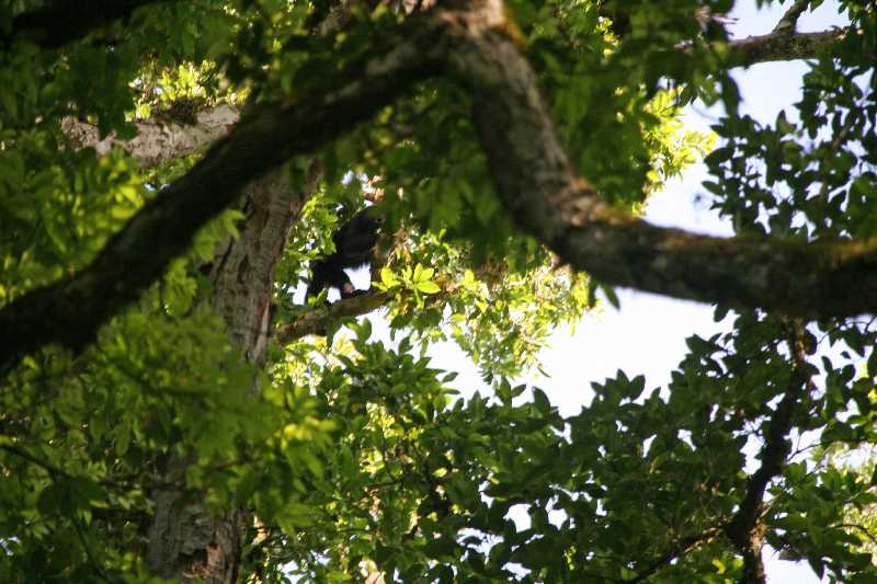 Mexico & Guatemala 2010 - 1058